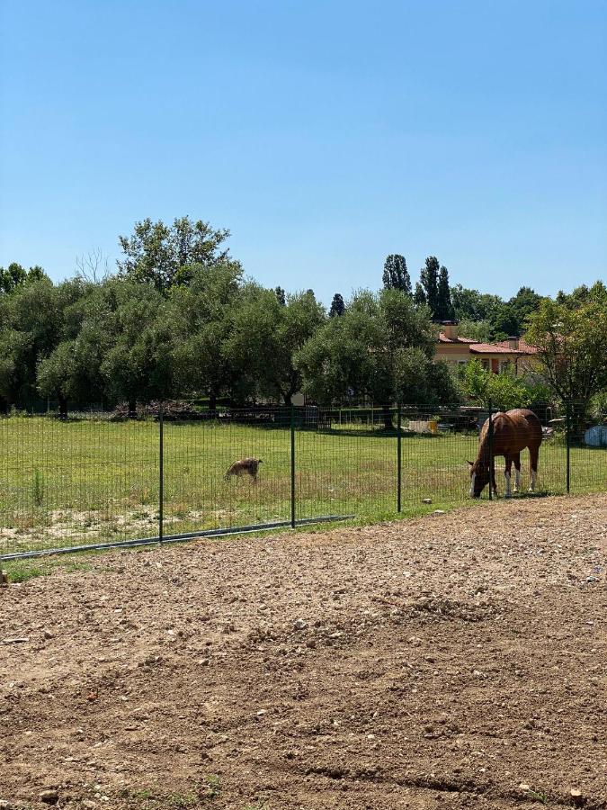 I Broletti Del Garda Hotel Pacengo Di Lazise Bagian luar foto